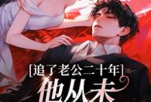 追了老公二十年，他从未认真对待我宋昔陆宴洲，追了老公二十年，他从未认真对待我章节在线阅读-时代文学