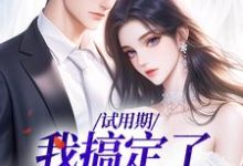 小说《试用期,我搞定了上司》章节免费阅读-时代文学
