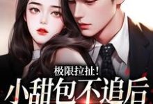 极限拉扯！小甜包不追后男神他慌了小说完结版章节免费阅读-时代文学
