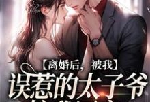 《离婚后，被我误惹的太子爷接我回家》小说大结局免费试读 云浅萧南夜小说-时代文学