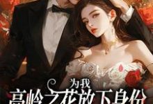 《为我，高岭之花放下身份为爱发疯》全集免费在线阅读（沈听雪傅憬珩）-时代文学