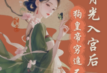 宫斗?这皇帝根本不让我玩小说,宫斗?这皇帝根本不让我玩免费阅读-时代文学