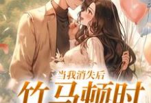 小说《当我消失后，竹马顿时衰神附体》章节免费阅读-时代文学