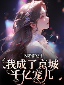 闪婚霸总，我成了京城千亿宠儿沈瓷霍靳尧，闪婚霸总，我成了京城千亿宠儿小说免费阅读