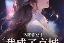 小说《闪婚霸总,我成了京城千亿宠儿》在线章节阅读-时代文学