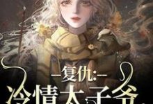 复仇：冷情太子爷，你跑不掉！小说的无弹窗阅读体验，寻找免费阅读网站-时代文学