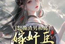 哪里可以免费找到怒撕渣男和离，嫁奸臣高攀不起？-时代文学