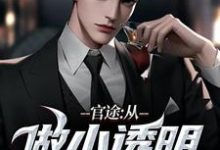 求官途:从做小透明开始小说免费资源-时代文学