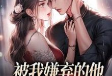 小说《被我嫌弃的他，竟成了我的港湾》在线章节阅读-时代文学