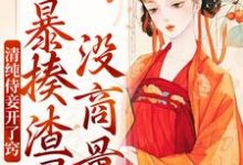求清纯侍妾开了窍,暴揍渣男没商量小说免费资源-时代文学
