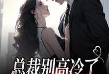 总裁别高冷了，夫人离家出走了小说，总裁别高冷了，夫人离家出走了在线阅读-时代文学