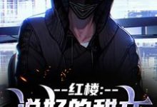 已完结小说《红楼：说好的甜文咋变恐怖文了》最新章节-时代文学