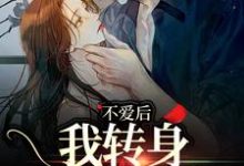 主角许南夕林淮年小说不爱后,我转身缠上霸总免费阅读-时代文学