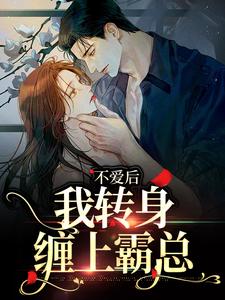 主角许南夕林淮年小说不爱后，我转身缠上霸总免费阅读