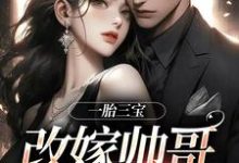 无删减版《一胎三宝，改嫁帅哥就是宠！》在线免费阅读-时代文学