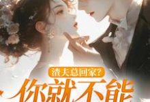 主人公叫洛言赵晏州的小说渣夫总回家？你就不能找找新欢在线阅读-时代文学