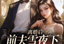无删减版《离婚后，前夫雪夜下跪求回头》免费阅读-时代文学