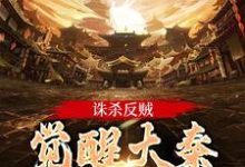 嬴启小说叫什么（诛杀反贼，觉醒大秦千年气运免费阅读）-时代文学