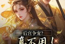 温梨儿晏时叙小说在线免费阅读（后宫争宠？真不用！我撒个娇的事无弹窗无删减）-时代文学