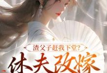 《渣父子赶我下堂?休夫改嫁你跪啥》全集免费在线阅读(江雨落楚行知)-时代文学