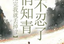 利用完我就丢掉?俏知青她不忍了小说,利用完我就丢掉?俏知青她不忍了许语嫣叶修远无弹窗在线阅读-时代文学