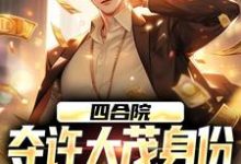 小说《四合院:夺许大茂身份,我成大好人》免费阅读-时代文学