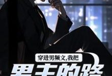 穿进男频文，我把男主的路给堵了！最新章节，穿进男频文，我把男主的路给堵了！免费阅读-时代文学