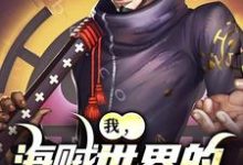 主角叫亚白小说我，海贼世界的不死大将免费阅读-时代文学