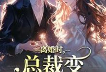 小说《离婚时，总裁变偏执病娇了》免费阅读-时代文学