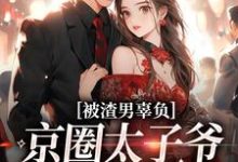 被渣男辜负，京圈太子爷化身治愈系免费阅读，被渣男辜负，京圈太子爷化身治愈系在线阅读-时代文学