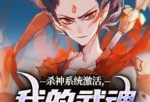 李云霄小说在线免费阅读（杀神系统激活，我的武魂是哪吒无弹窗无删减）-时代文学