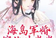 沈竹一霍锦之小说叫什么(海岛军婚:嫁他生崽崽免费阅读)-时代文学