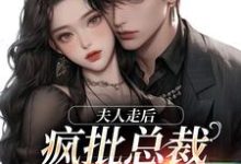 夫人走后，疯批总裁寻遍全世界小说免费资源，夫人走后，疯批总裁寻遍全世界在线阅读-时代文学