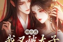 主人公叫虞晚柔萧衡的小说哪里免费看-时代文学
