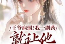 主角叫苏玖檀青渊小说王爷病弱？我一副药就让他生龙活虎免费阅读-时代文学
