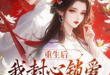 主角叫萧煜苏婉宁的小说在哪阅读-时代文学