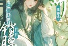 主人公叫容桓晚寻楠的小说哪里免费看-时代文学