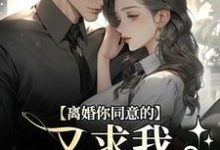 主角叫周晏辰沈青漓小说离婚你同意的，又求我复婚干什么免费阅读-时代文学