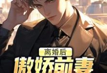 无删减版《离婚后，傲娇前妻被疯狂打脸》全章节阅读-时代文学