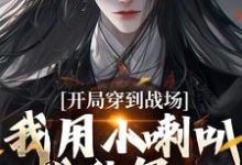 开局穿到战场，我用小喇叭扰乱军心小说，开局穿到战场，我用小喇叭扰乱军心在线阅读-时代文学