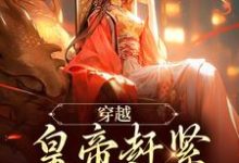 男女主人公如意康熙小说穿越：皇帝赶紧给我打江山免费阅读-时代文学