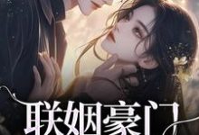 沈心姿陆仲廷小说在线免费阅读（联姻豪门继承人后，我逃婚了！无弹窗无删减）-时代文学
