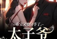 乖宝又要分手了，太子爷求贴贴厉霆骁江颜小说免费阅读-时代文学