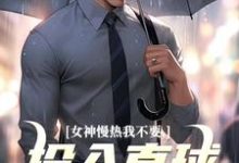 求女神慢热我不要，投入直球女怀抱小说免费资源-时代文学
