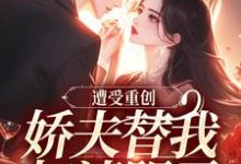 小说《遭受重创，娇夫替我扫清阴霾》在线阅读-时代文学