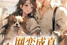 已完结小说《网恋成真，这小子乐癫了》在线阅读-时代文学