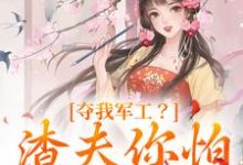 夺我军工？渣夫你怕是没命享（凌朝歌南宫阎）在线免费阅读-时代文学