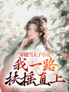 穿越当太子小妾，我一路扶摇直上小说，穿越当太子小妾，我一路扶摇直上最新章节