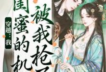 梅久傅砚辞小说在哪里可以看-时代文学