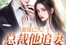 蓄谋已久！总裁他追妻套路为零小说，蓄谋已久！总裁他追妻套路为零在线阅读-时代文学